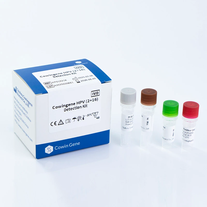 Cowingene HPV (2+16) Detection Kit
