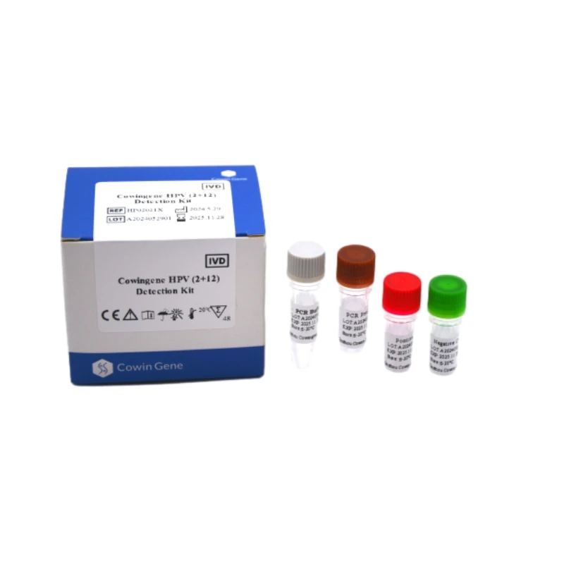 Cowingene HPV (2+12) Detection Kit