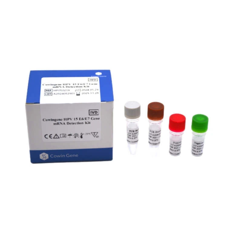 Cowingene HPV 15 E6/E7 Gene mRNA Detection Kit