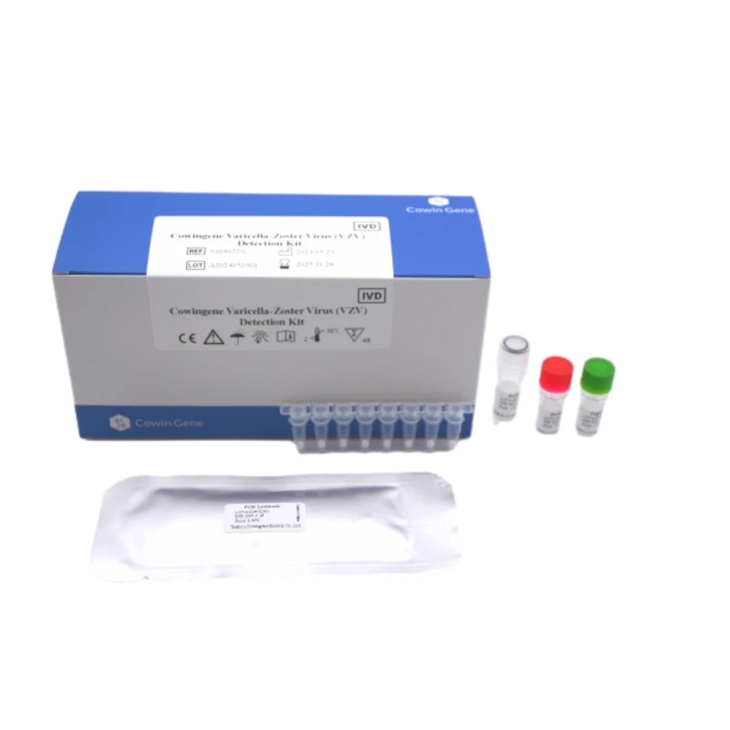 Cowingene Varicella-Zoster Virus (VZV) Detection Kit