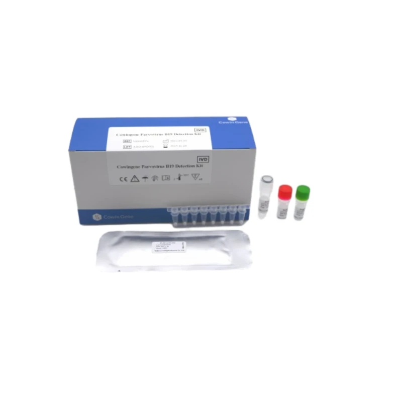 Cowingene Parvovirus B19 Detection Kit