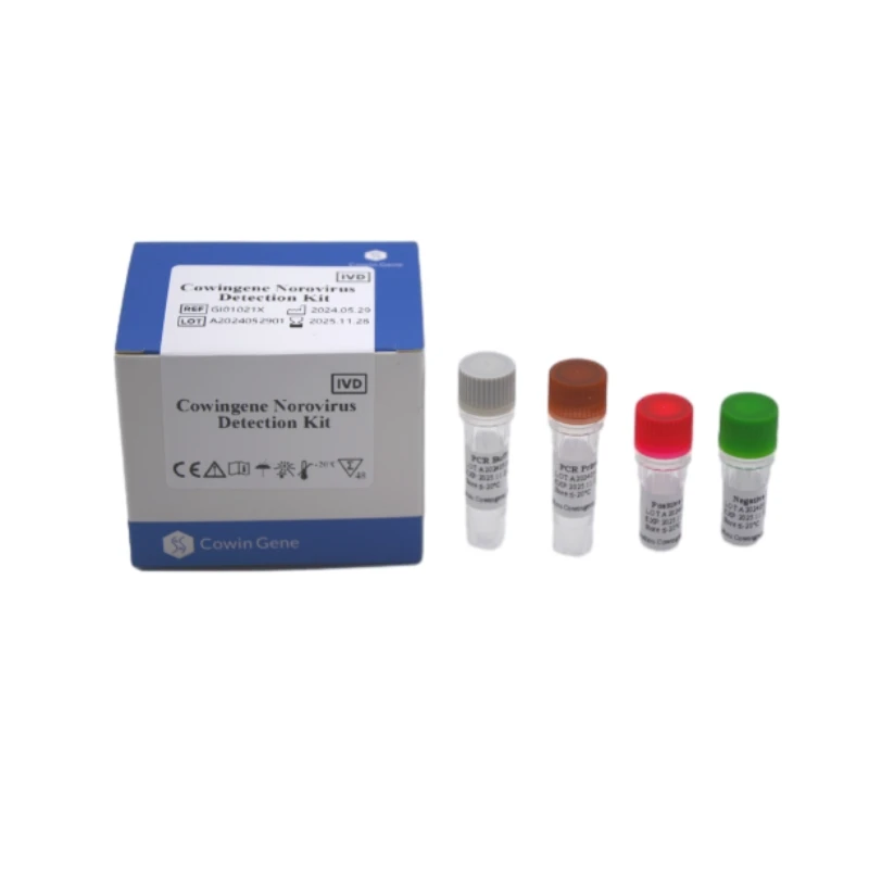 Cowingene Norovirus Detection Kit