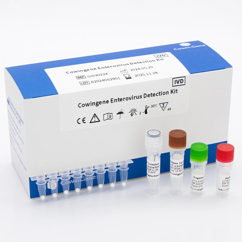 Cowingene Enterovirus Detection Kit (Lyophilized)