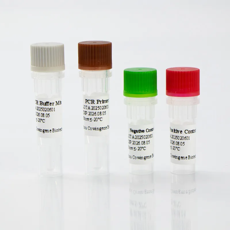 cmv pcr kit